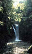 The 48 waterfalls of Takihataの画像