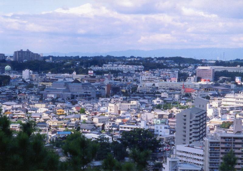 長野公園からの市内の眺めの画像