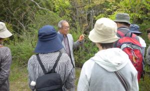 「てくてく野草ウォッチング」講座の様子