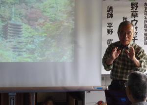 「野草ウォッチング」講座の様子