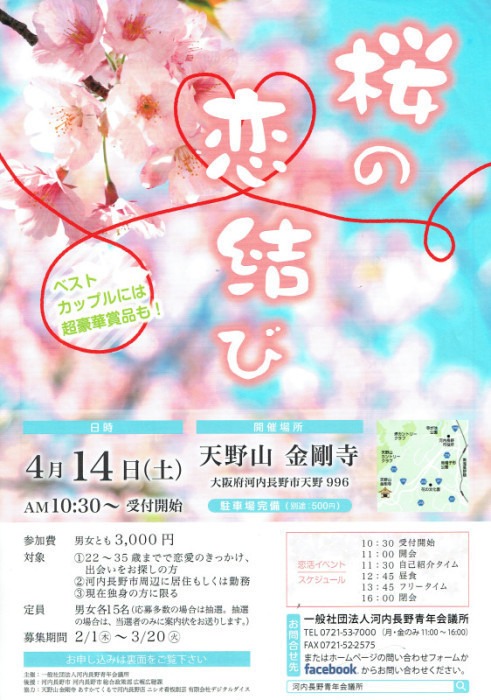 桜の恋結びの画像
