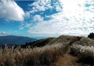 岩湧山風景