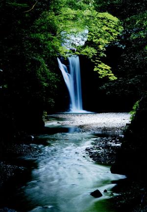 夏の滝畑