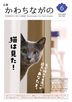 広報かわちながの2020年6月号