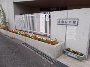 高向公民館花3