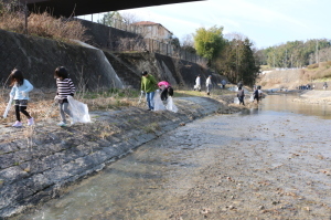 河川一斉清掃の画像3