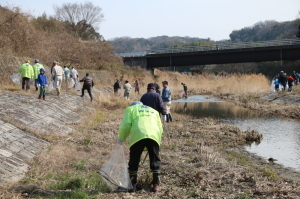 河川一斉清掃の画像4