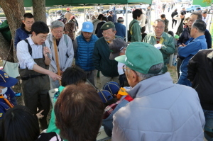 河川一斉清掃の画像7