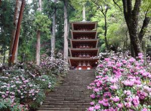 室生寺（奈良県宇陀市）