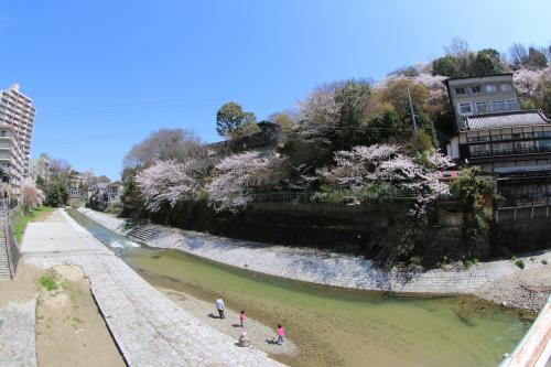 河川風景