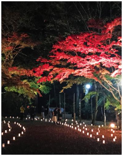 室生寺ライトアップ