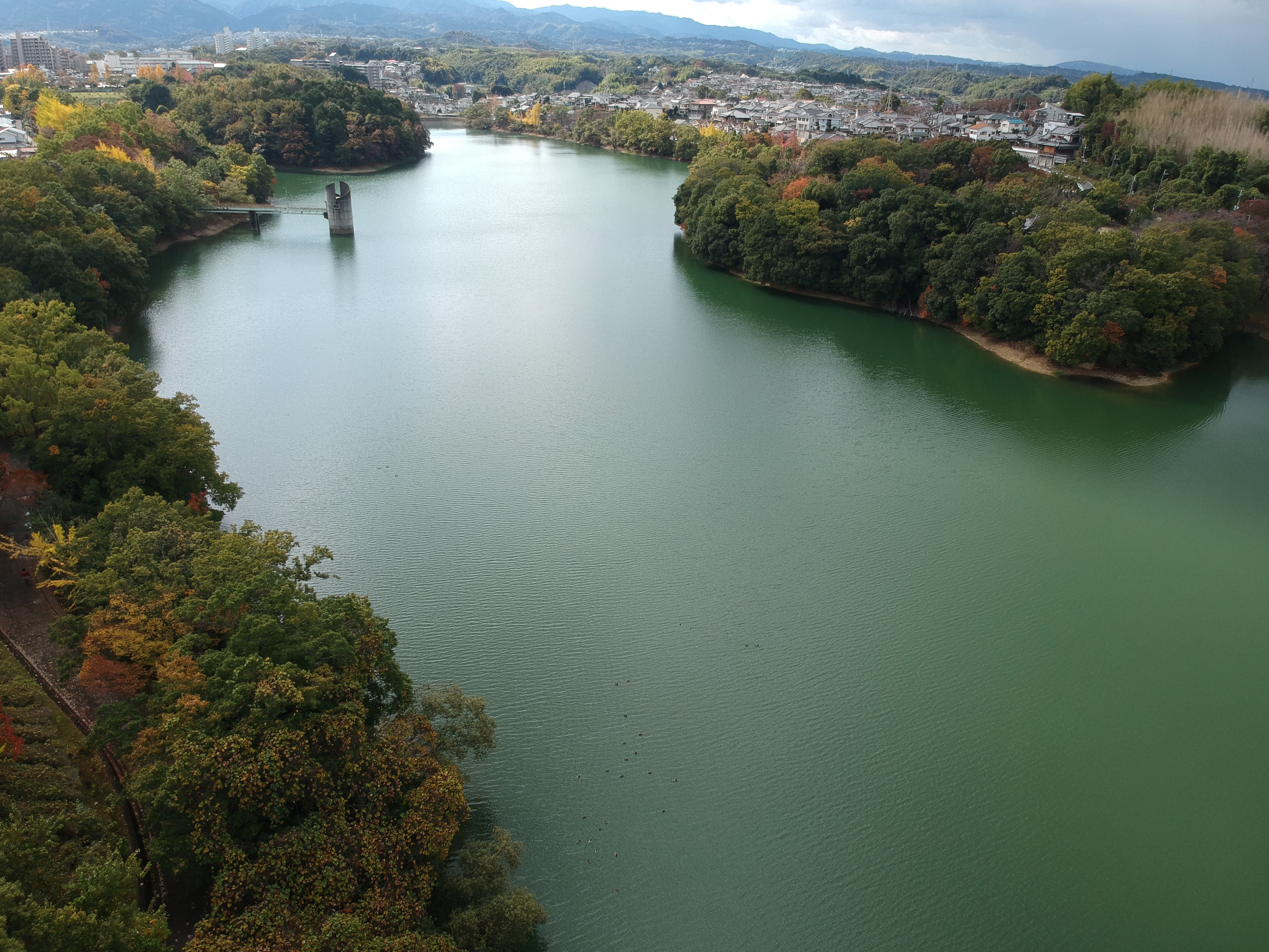 寺ケ池