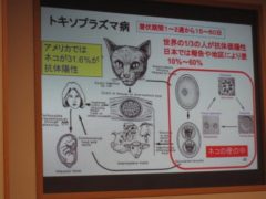 トキソプラズマ説明