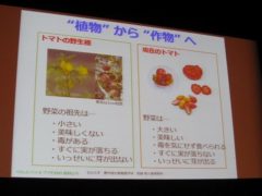 植物から作物への説明