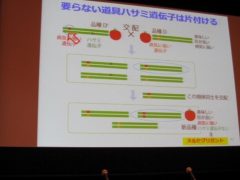 要らない道具はさみ遺伝子は片づける