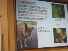 付着動物散布