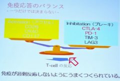 免疫応答のバランス