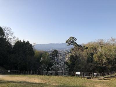 ジュラシックパーク?烏帽子形公園