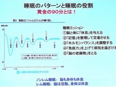 睡眠のパターンと睡眠の役割