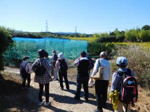 巡礼の道令和4年10月19日坂を上って尾根道へ