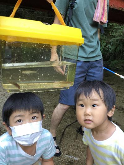 生き物観察