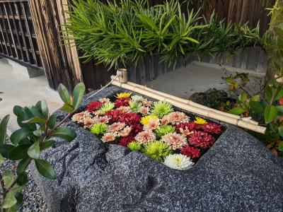 大日寺の花手水