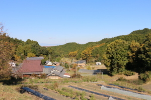 援農ボランティアがきっかけ。農地を借りて夢の新規就農を実現の画像2