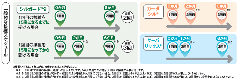 標準的な接種スケジュール