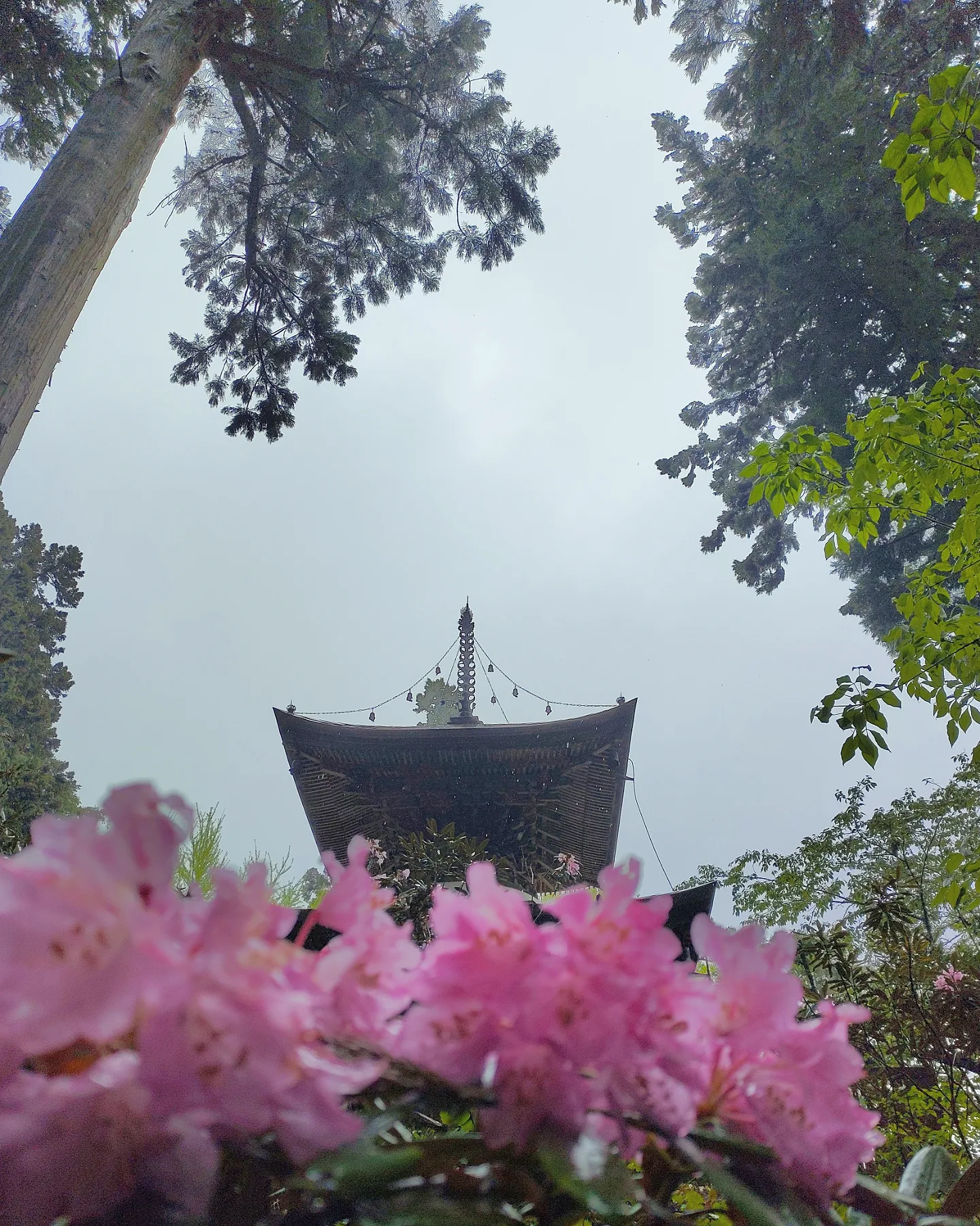 霧に包まれた静謐な山寺