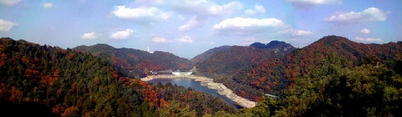 センター周辺の紅葉風景の画像