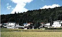 The evergreen forest of Eboshigata Castle ruins