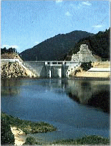 The Mandarin Ducks of Takihata Damの画像