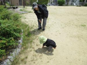2024おでわく向野２