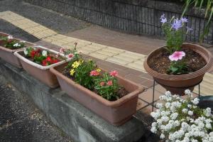 三日市公民館　花壇