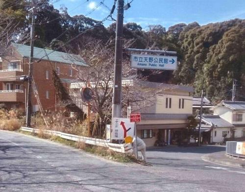 この道は左です