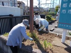 花植え１