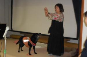 「聴導犬って知ってる？」講座の様子