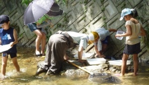 「水辺の生きもの探偵団」講座の様子の画像4