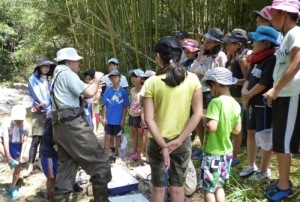 「水辺の生きもの探偵団」講座の様子の画像6