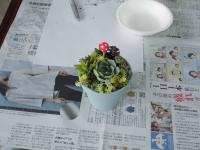 多肉植物の寄せ植え教室の様子5