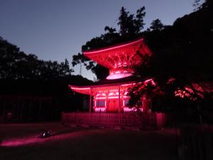 天野山金剛寺多宝塔ライトアップ