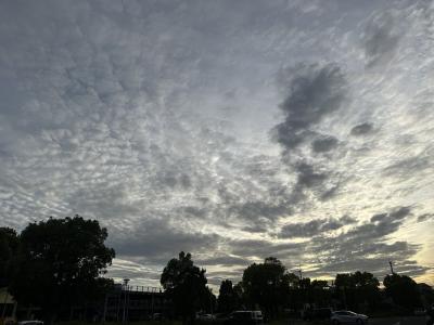 うろこ雲