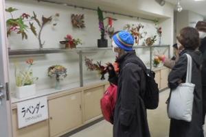 三日市公民館クラブ「ラベンダー」展示の様子