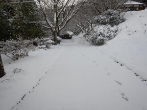 積雪