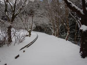 積雪２