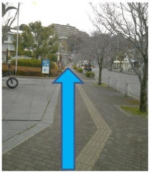 歩道に沿って交差点まで歩く