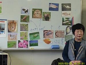 食物連鎖を説明
