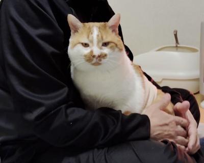 パパの膝の上が大好き