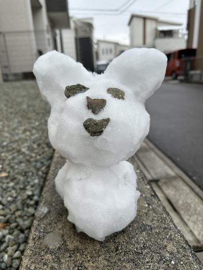 猫耳ゆきだるま