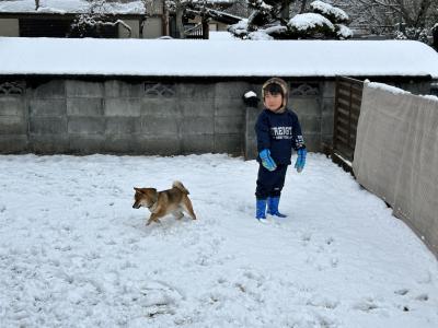 犬は喜び庭駆け回る